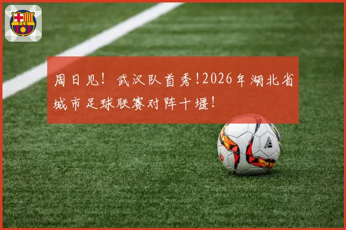 周日见!武汉队首秀!2026年湖北省城市足球联赛对阵十堰!