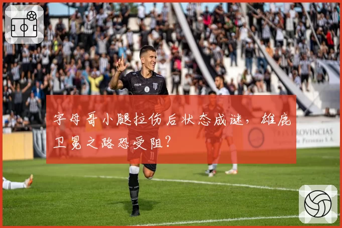 字母哥小腿拉伤后状态成谜，雄鹿卫冕之路恐受阻？