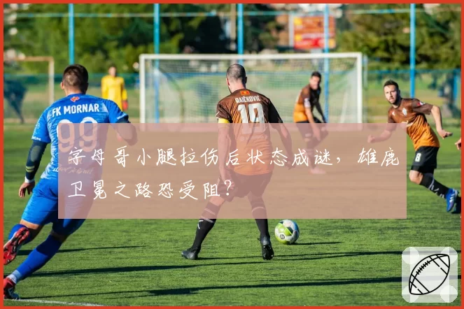 字母哥小腿拉伤后状态成谜,雄鹿卫冕之路恐受阻?